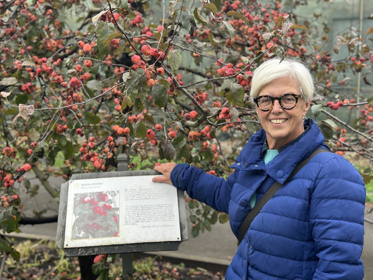 «Исторические сады в России: сохранение биоразнообразия, культуры, истории и традиций»